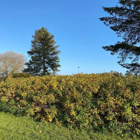 6 Person In Hadsund-by Traum